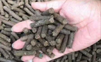 水果渣越來越受歡迎，因為它的出現(xiàn)—生物質(zhì)顆粒機設備